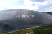 黑膜沼气池